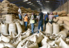 Gana: as exporta&ccedil;&otilde;es agr&iacute;colas n&atilde;o tradicionais geraram 710 milh&otilde;es de d&oacute;lares em 2025, em alta de 38%.