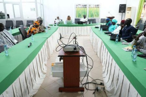 Senegal: o setor da mandioca organiza-se com vista &agrave; cria&ccedil;&atilde;o de uma interprofissional