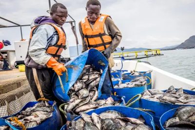 africa-oriental-agdevco-injeta-15-milhoes-de-dolares-adicionais-na-aquacultura