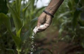 O Congo pode transformar os fertilizantes num motor de diversifica&ccedil;&atilde;o apoiado nos seus recursos de g&aacute;s natural.