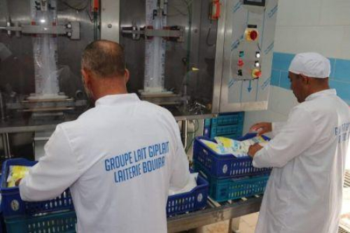 Arg&eacute;lia: a maior unidade de produ&ccedil;&atilde;o de leite do pa&iacute;s entra em funcionamento