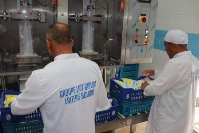 argelia-a-maior-unidade-de-producao-de-leite-do-pais-entra-em-funcionamento