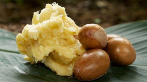 Karit&eacute;: o Togo pretende reestruturar a fileira.