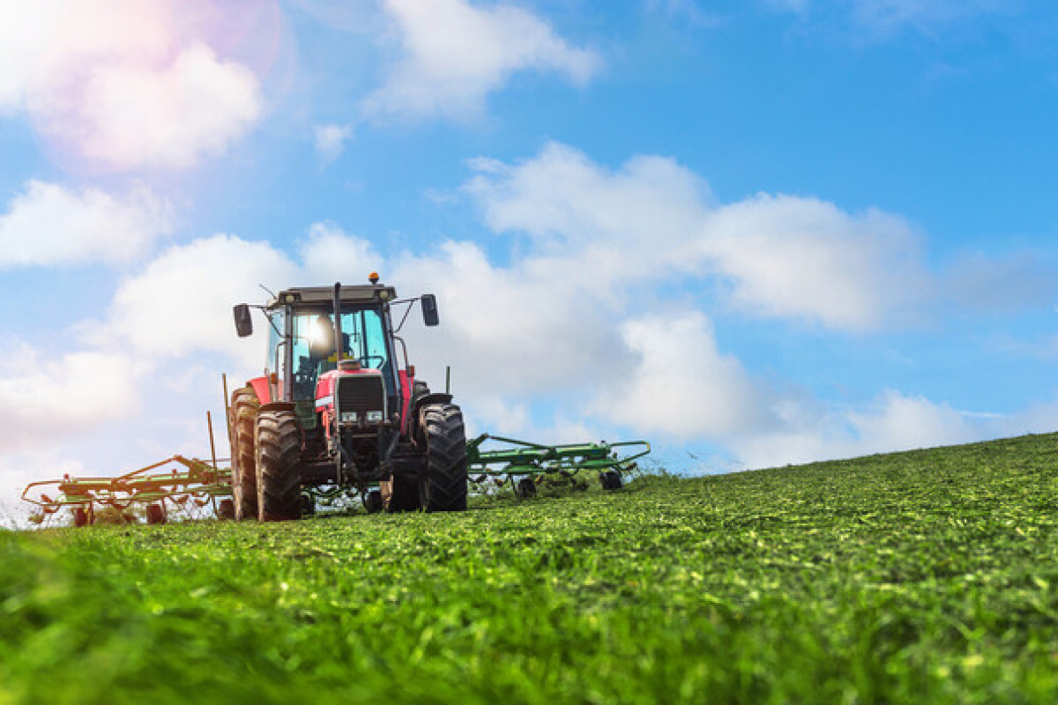 Benim: Um setor agr&iacute;cola transformado, um modelo a refor&ccedil;ar sob Wadagni