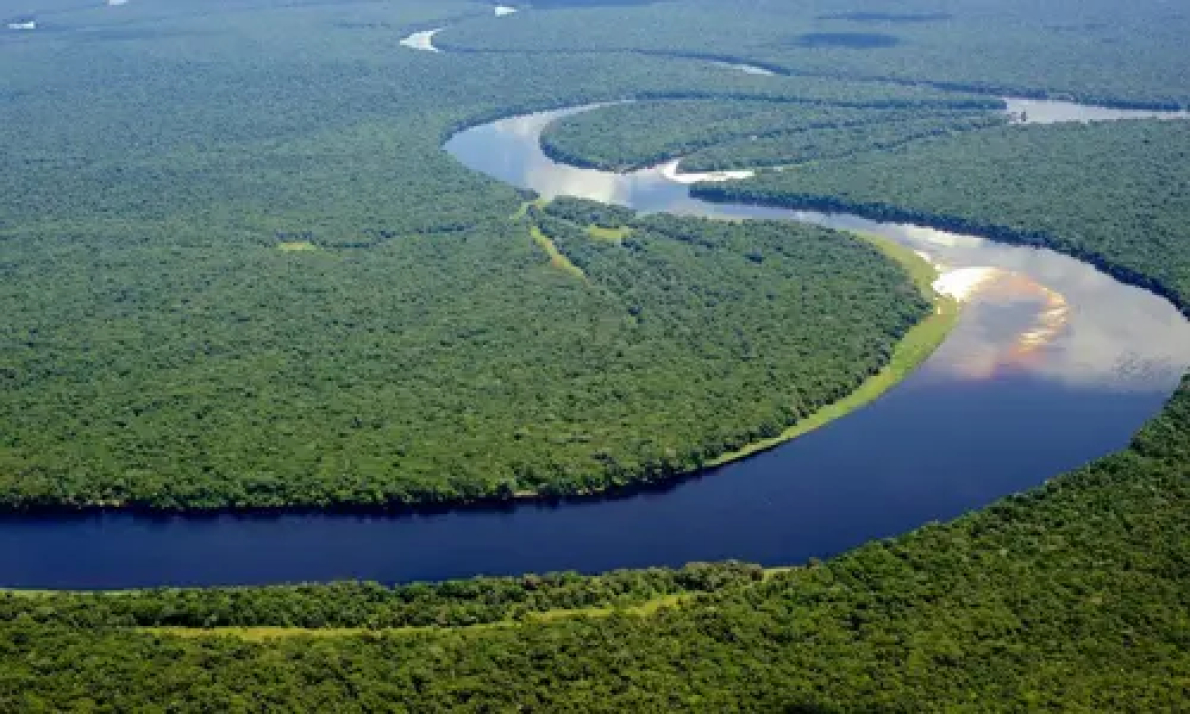 RDC: US$ 87 milh&otilde;es arrecadados para projetos agroflorestais sustent&aacute;veis