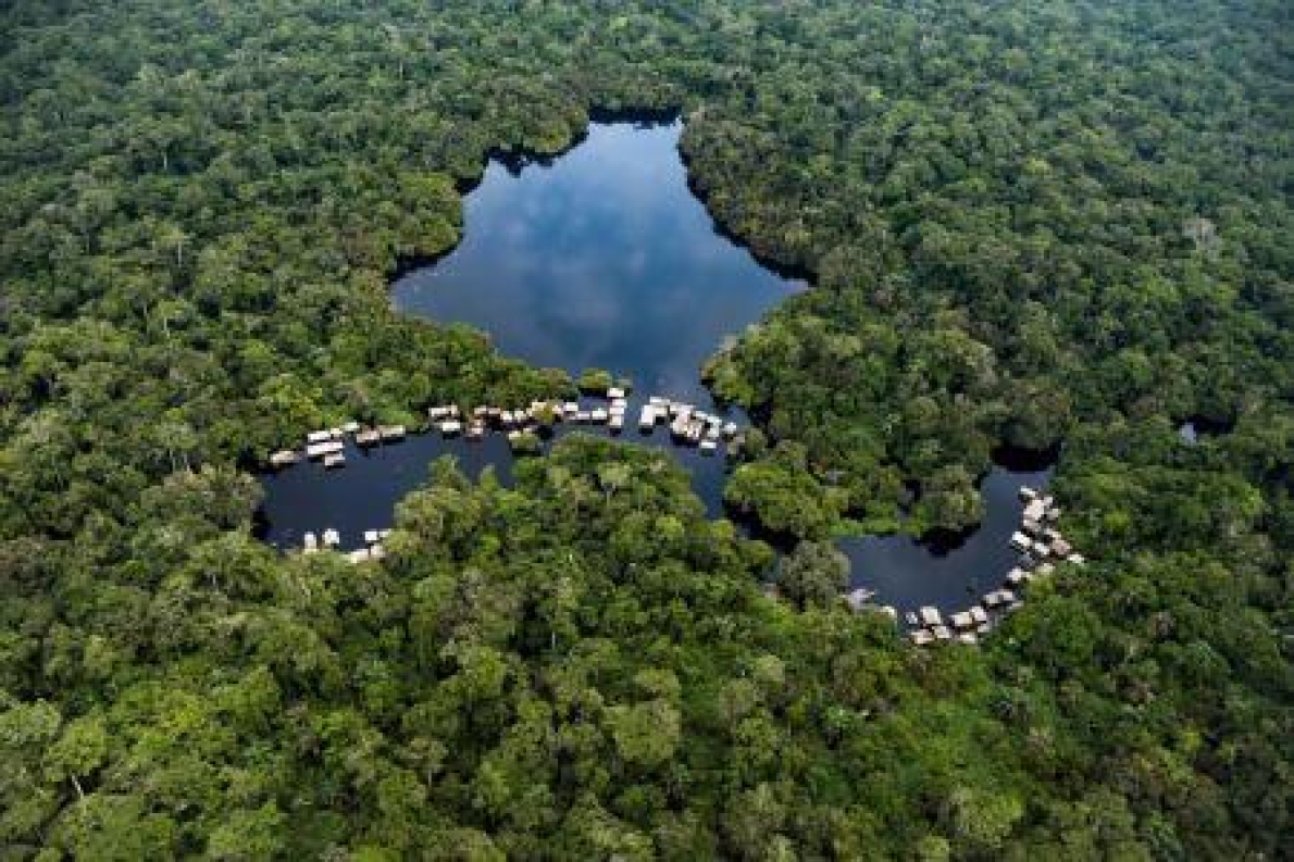 Florestas africanas passam de armadilhas de carbono para emissores l&iacute;quidos (relat&oacute;rio)