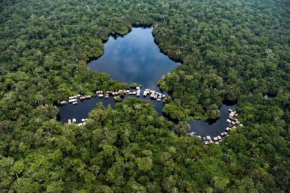 Florestas africanas passam de armadilhas de carbono para emissores l&iacute;quidos (relat&oacute;rio)