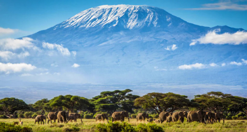 Kenya Strengthens Lead Over Tanzania as East Africa&rsquo;s Top Tourist Destination in 2025