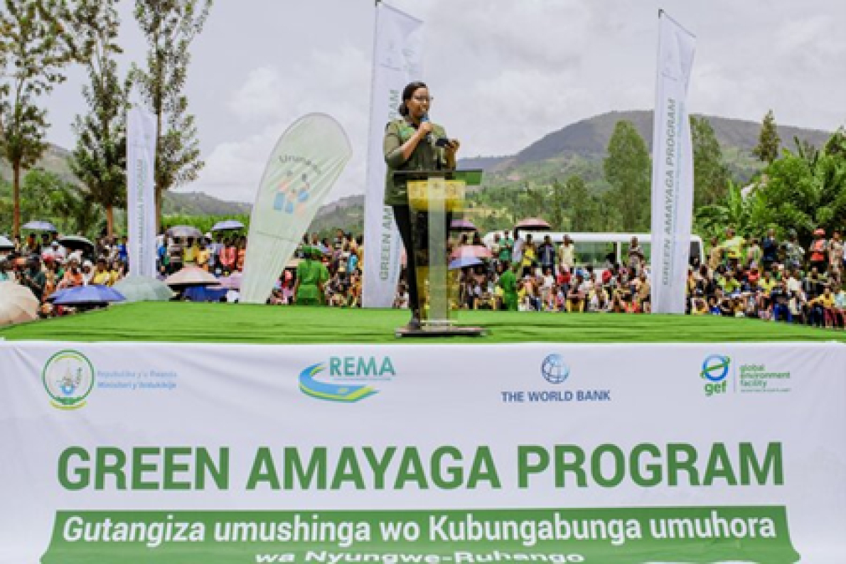 Ruanda: lan&ccedil;ado projeto de restaura&ccedil;&atilde;o ecol&oacute;gica no corredor Nyungwe-Ruhango