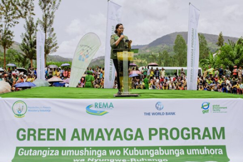 Ruanda: lan&ccedil;ado projeto de restaura&ccedil;&atilde;o ecol&oacute;gica no corredor Nyungwe-Ruhango