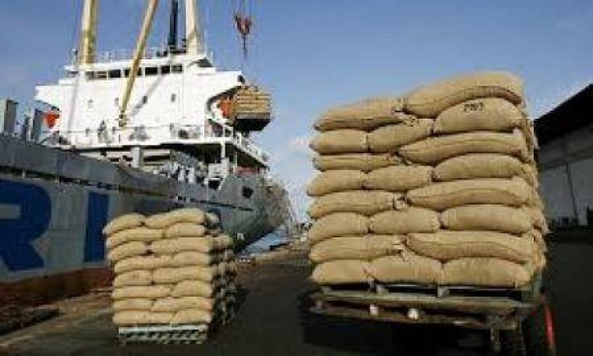 Camar&otilde;es: exporta&ccedil;&otilde;es para os Estados Unidos crescem em volume, mas caem em valor