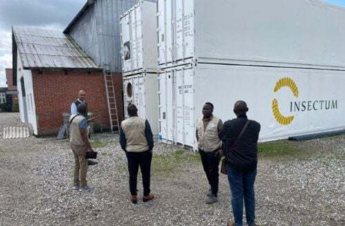 Fabricante dinamarqu&ecirc;s de alimentos para animais Insectum ApS instala-se no Gana