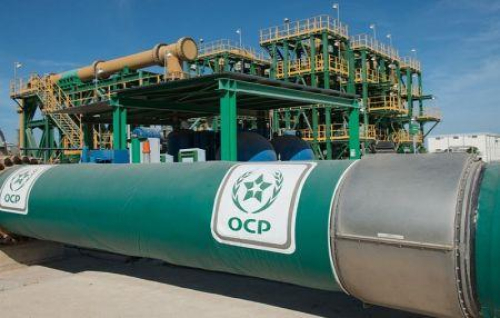 SFI prepara-se para financiar megaprojeto de armazenamento de fosfogesso da OCP em Marrocos