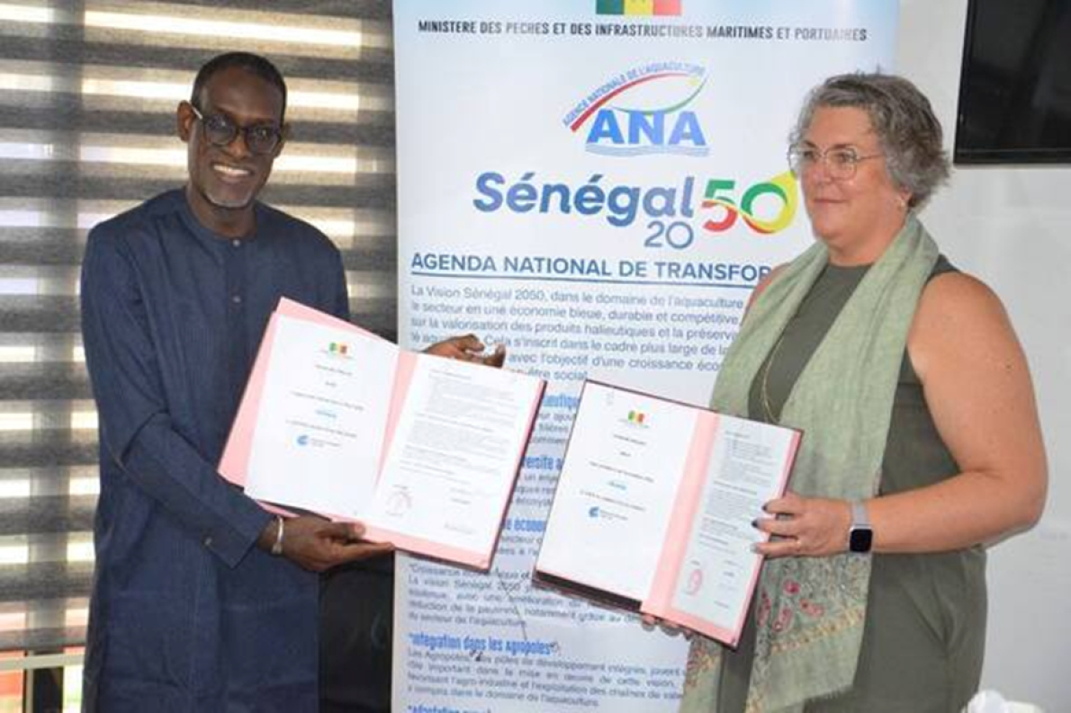 Senegal: Parceria lan&ccedil;ada para desenvolver habilidades em aquicultura