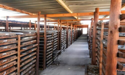 Para al&eacute;m da Nam&iacute;bia, a Koryx quer tamb&eacute;m acelerar os seus esfor&ccedil;os no cobre zambiano em 2026