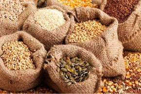 S&eacute;curit&eacute; alimentar no Togo: avalia&ccedil;&atilde;o estrat&eacute;gica do projeto Pro SADI pelos seus parceiros