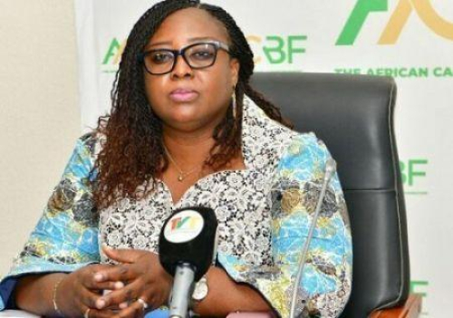 fiscalidade-climatica-especialistas-de-oito-paises-africanos-reunem-se-em-lome